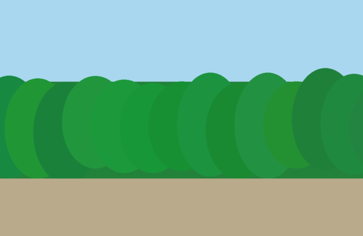 Gardening & Landscaping